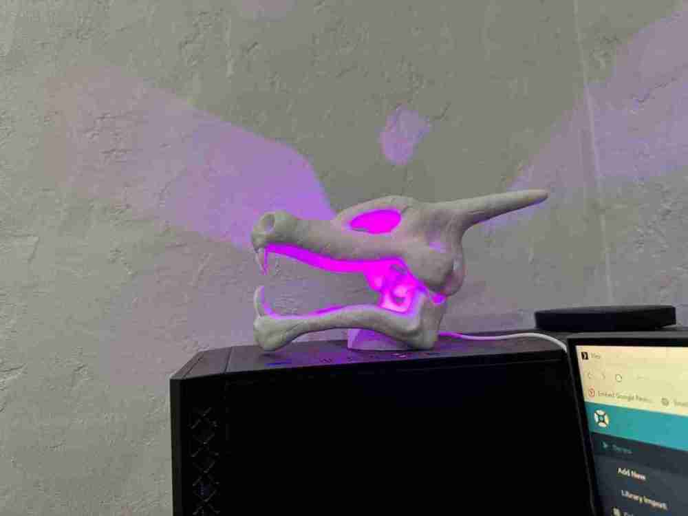 Charizard Skull Light